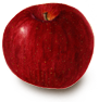 All Apple Varieties