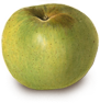 Cider Apple Varieties