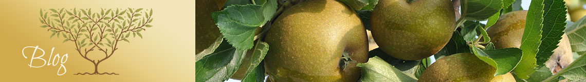 Albemarle Ciderworks Blog Albemarle Ciderworks Blog