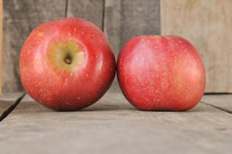 Fruit | Albemarle Ciderworks & Vintage Virginia Apples