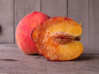 Orchard peach seeds