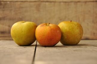 Fruit | Albemarle Ciderworks & Vintage Virginia Apples