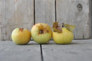 Fruit Albemarle Ciderworks Vintage Virginia Apples