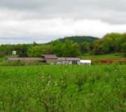 View of Rural Ridge from the North
