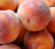 Tree-ripened peaches are hard to beat
