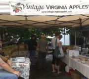 Selling apples and cider at the Charlottesville City Market