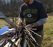 Thomas carefully labels some scion wood