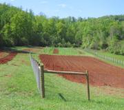 New nursery beds