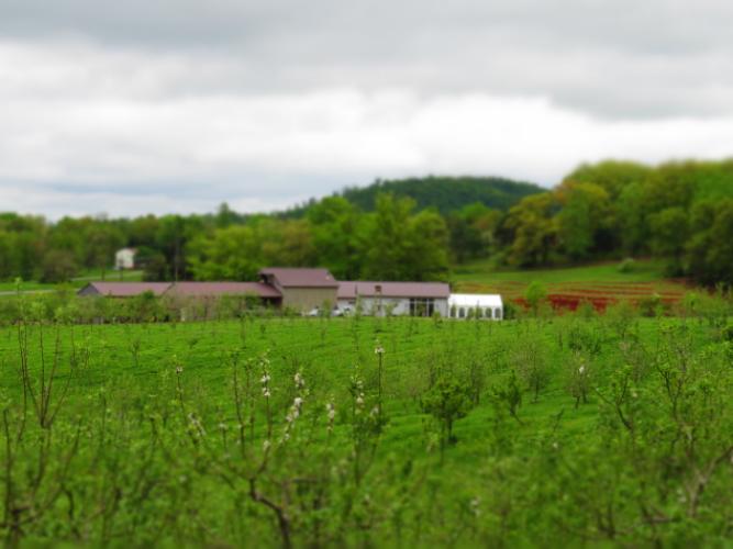 View of Rural Ridge from the North