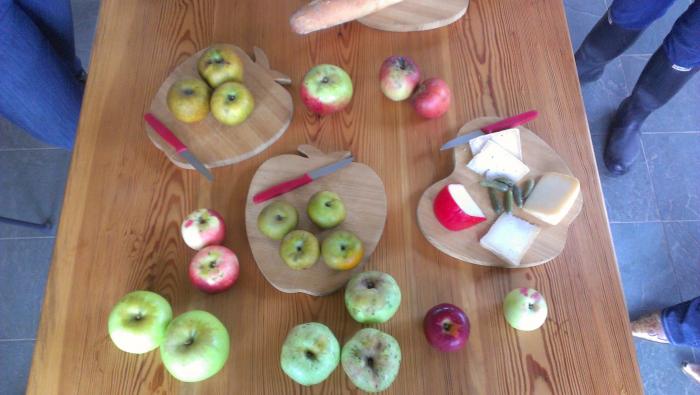 Apples and cheese, yum!
