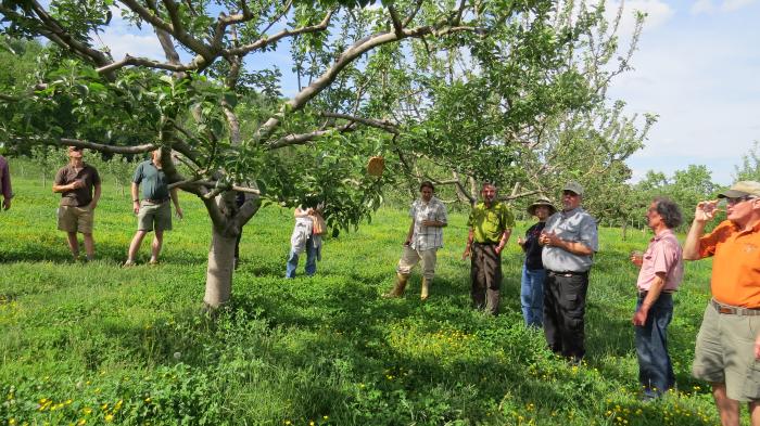 A cider toast for orchard health