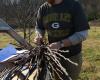 Thomas carefully labels some scion wood