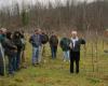 pruning apple trees