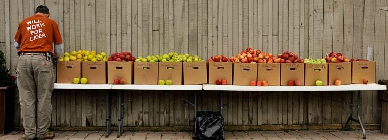 Tom Burford Albemarle Ciderworks Vintage Virginia Apples